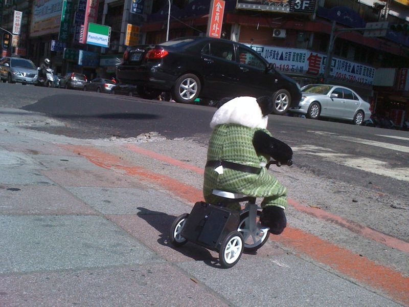 tricyclist in taiwan